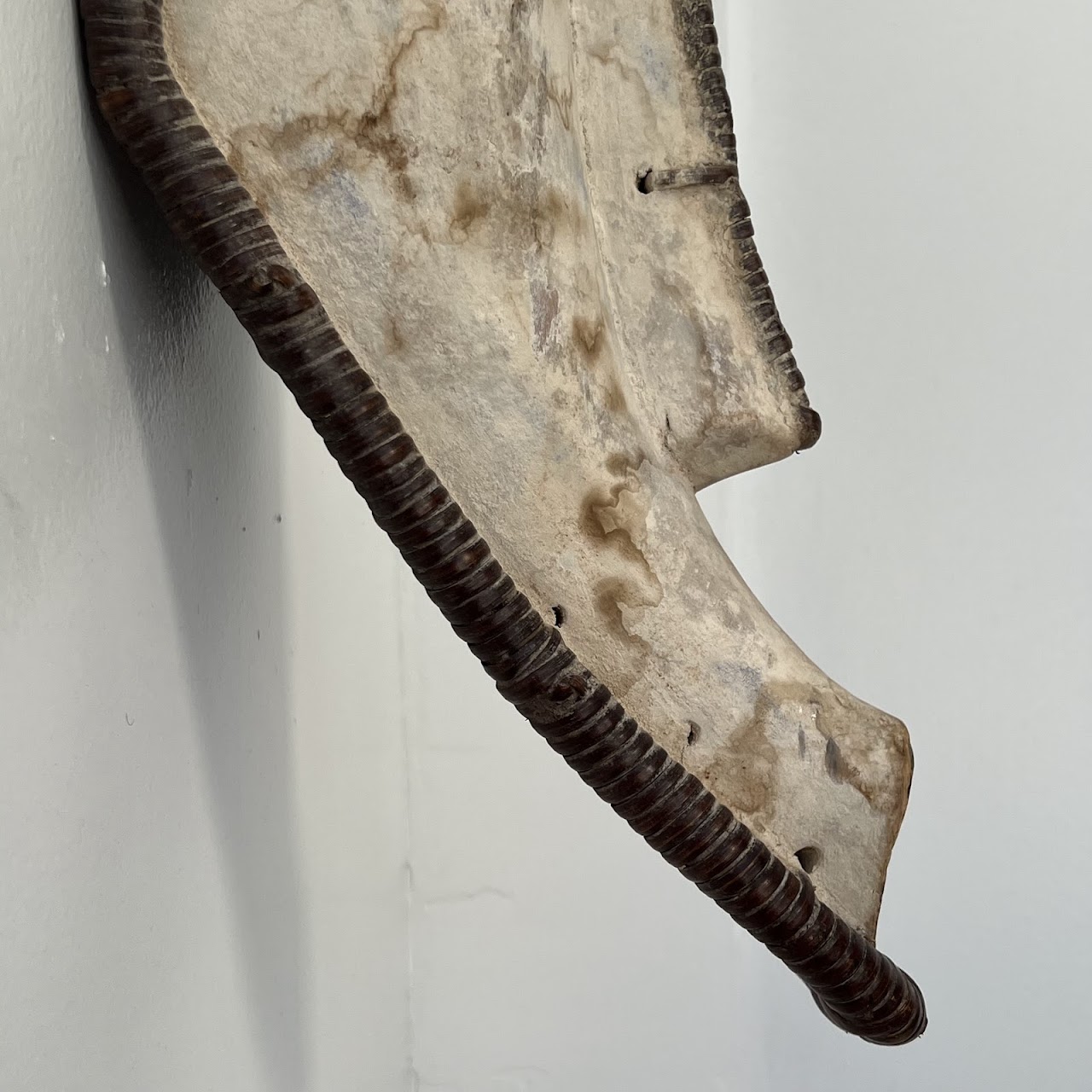 African Gabon Ngil Fang Mask