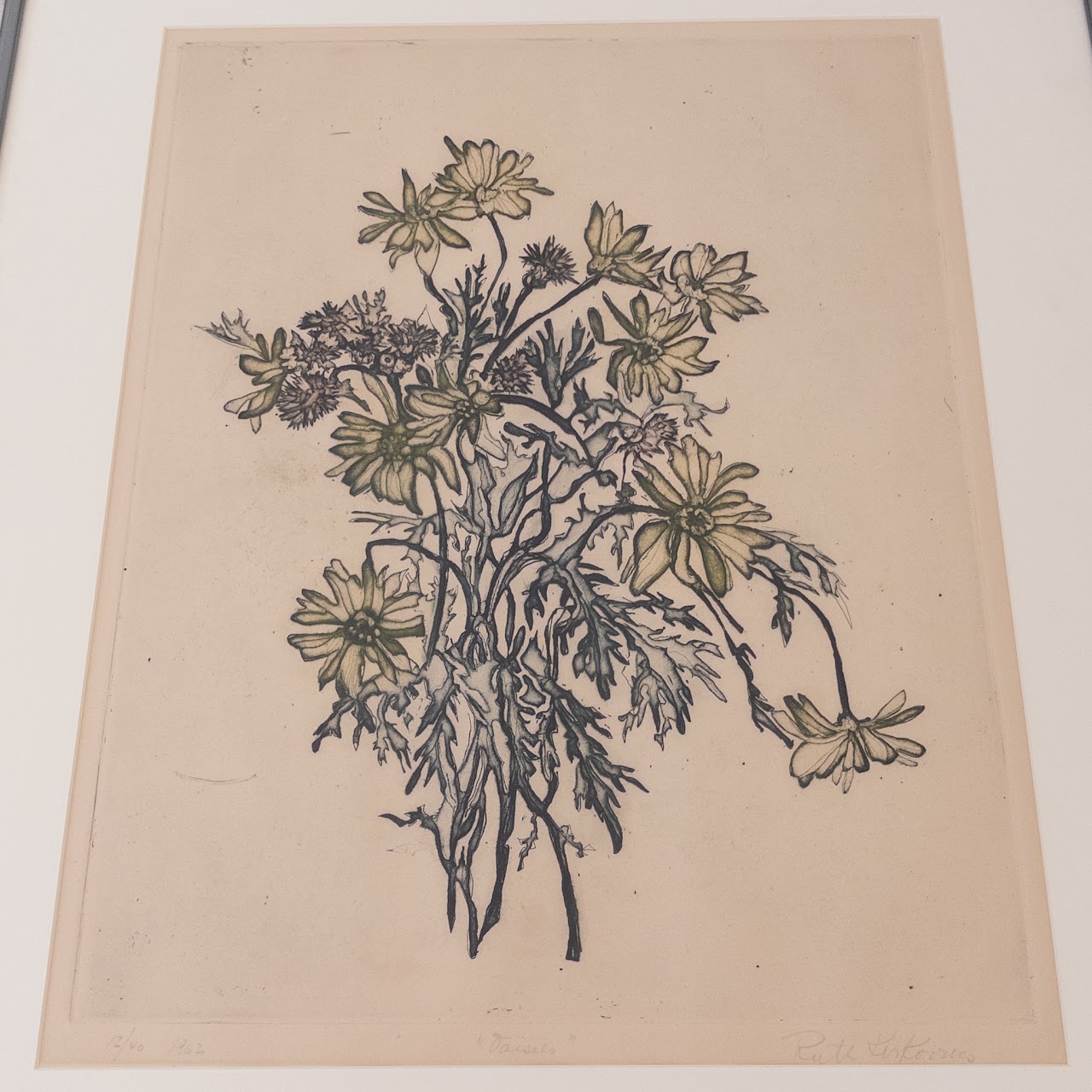 Ruth Kerkovius 'Daisies' Signed Etching and Aquatint