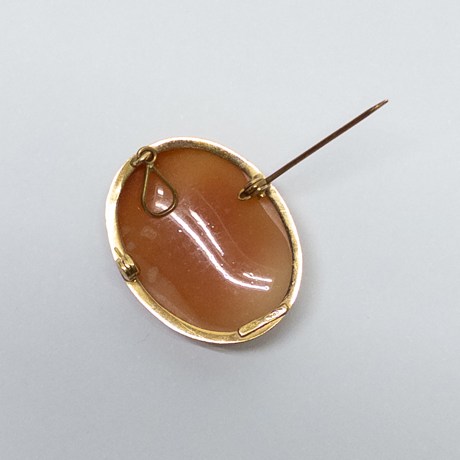 14K Gold Cameo Brooch/Pendant