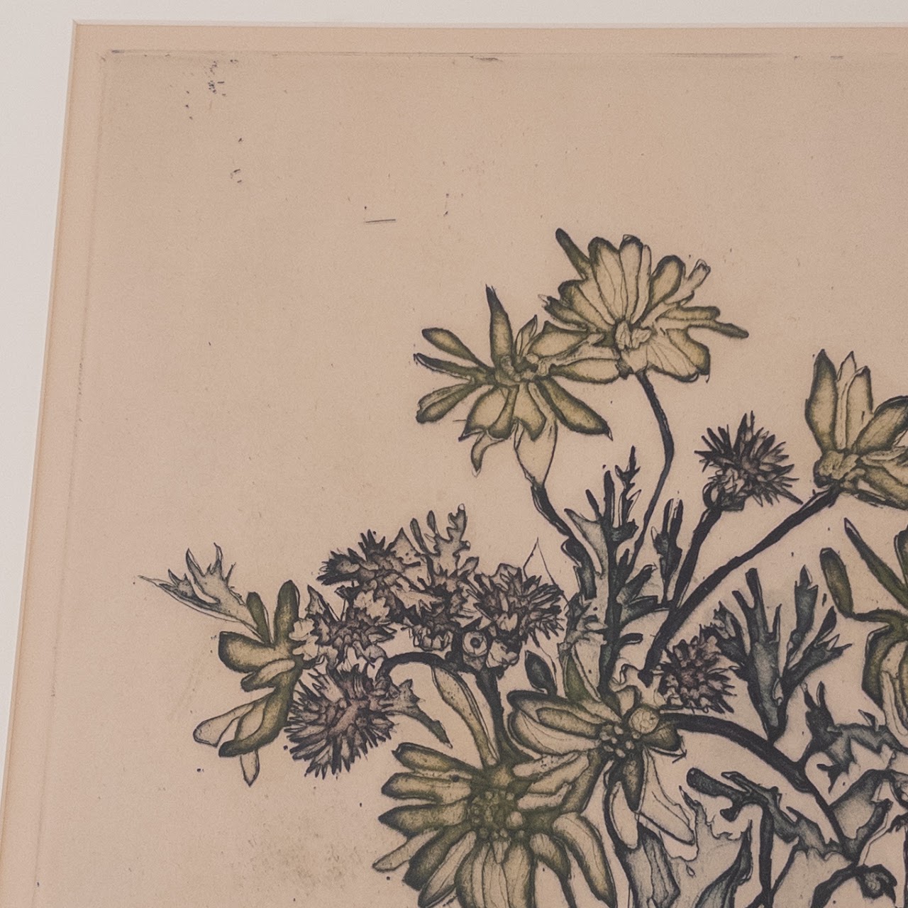 Ruth Kerkovius 'Daisies' Signed Etching and Aquatint