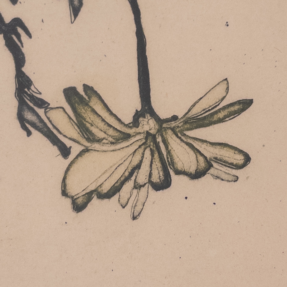 Ruth Kerkovius 'Daisies' Signed Etching and Aquatint