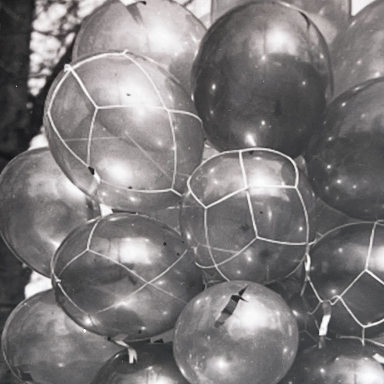 Paris Balloons, 1948 Photograph