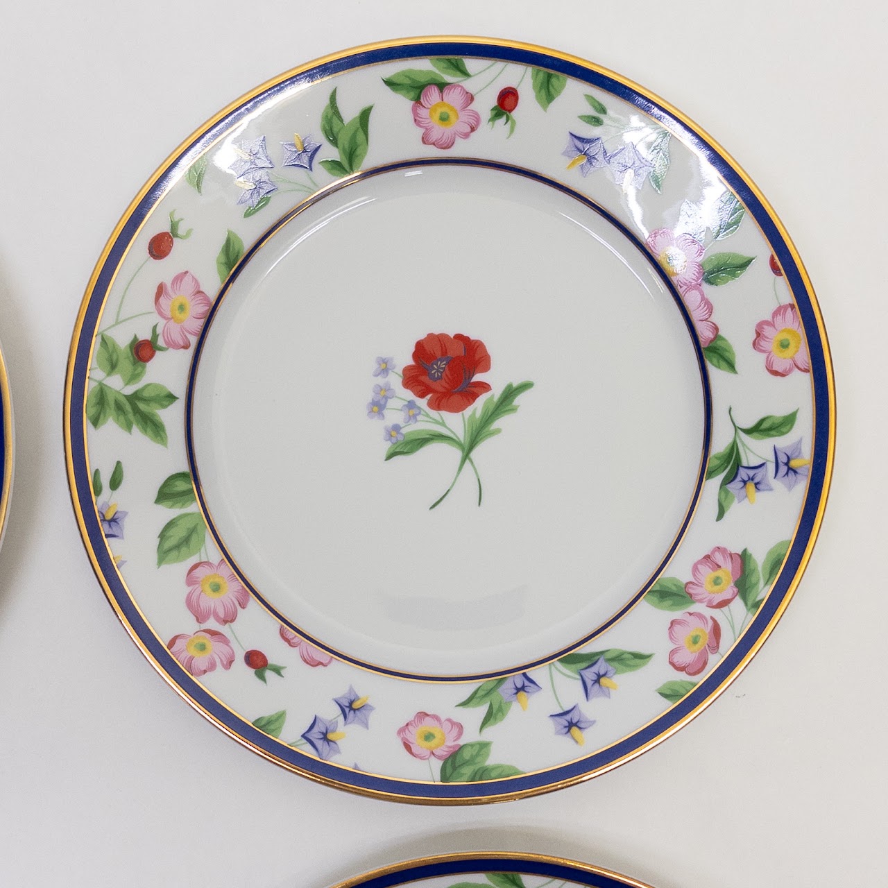 Tiffany & Co. Limoges American Gardens Plate Set