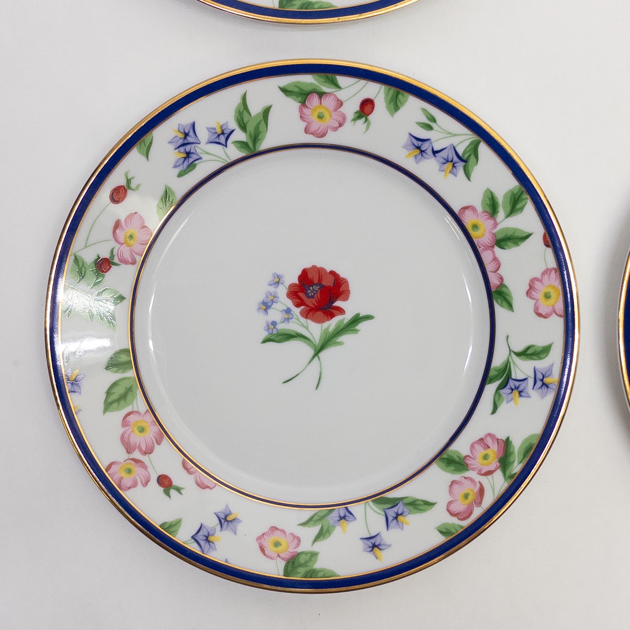 Tiffany & Co. Limoges American Gardens Plate Set