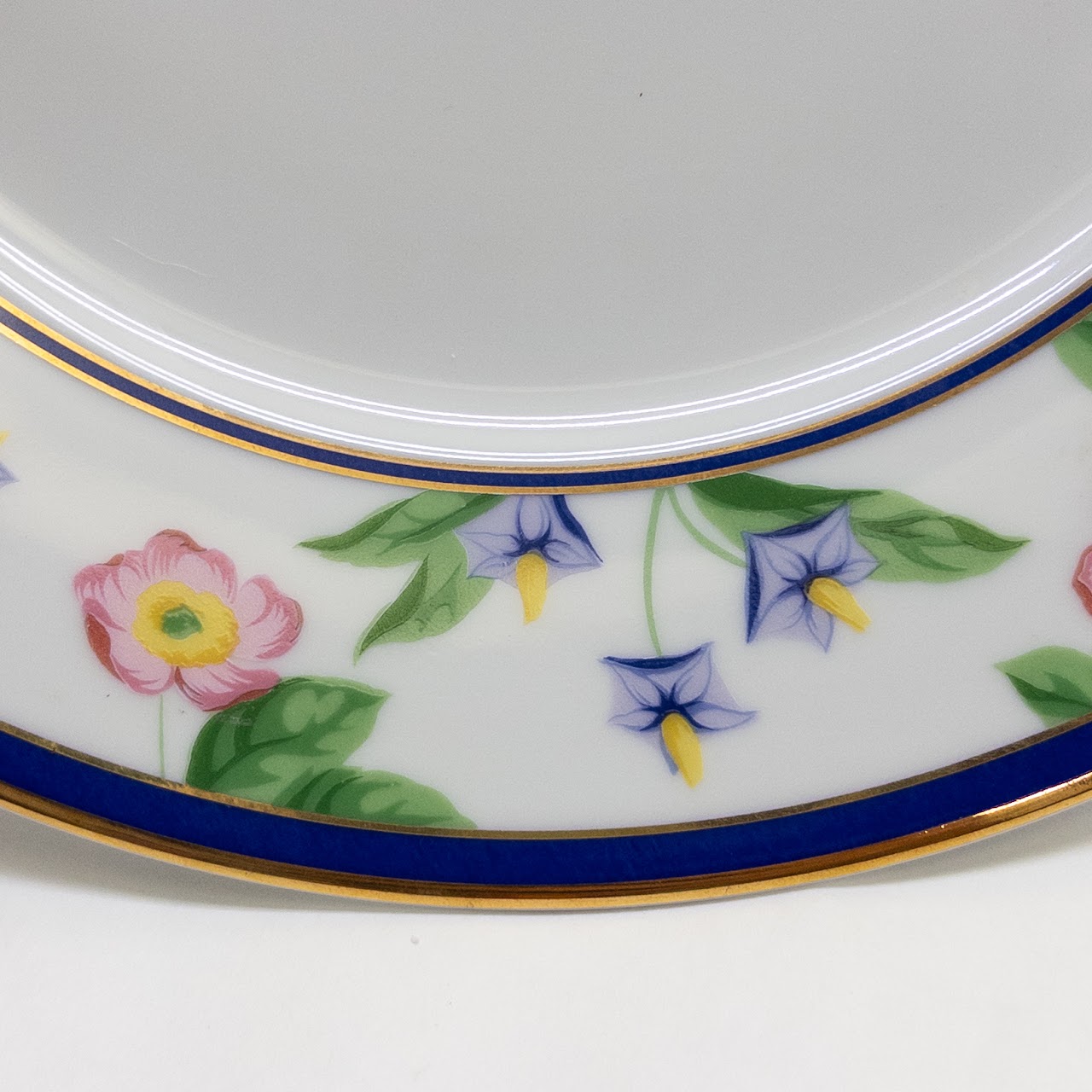 Tiffany & Co. Limoges American Gardens Plate Set