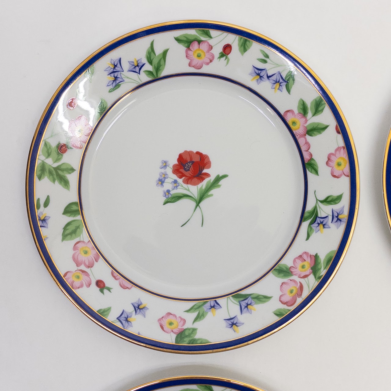 Tiffany & Co. Limoges American Gardens Plate Set