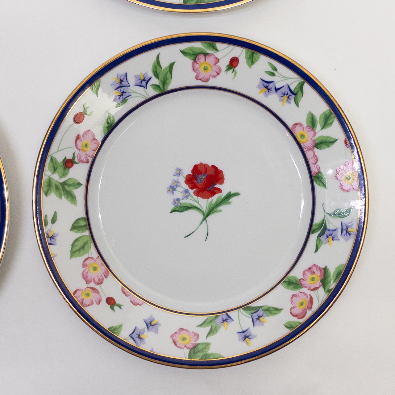 Tiffany & Co. Limoges American Gardens Plate Set