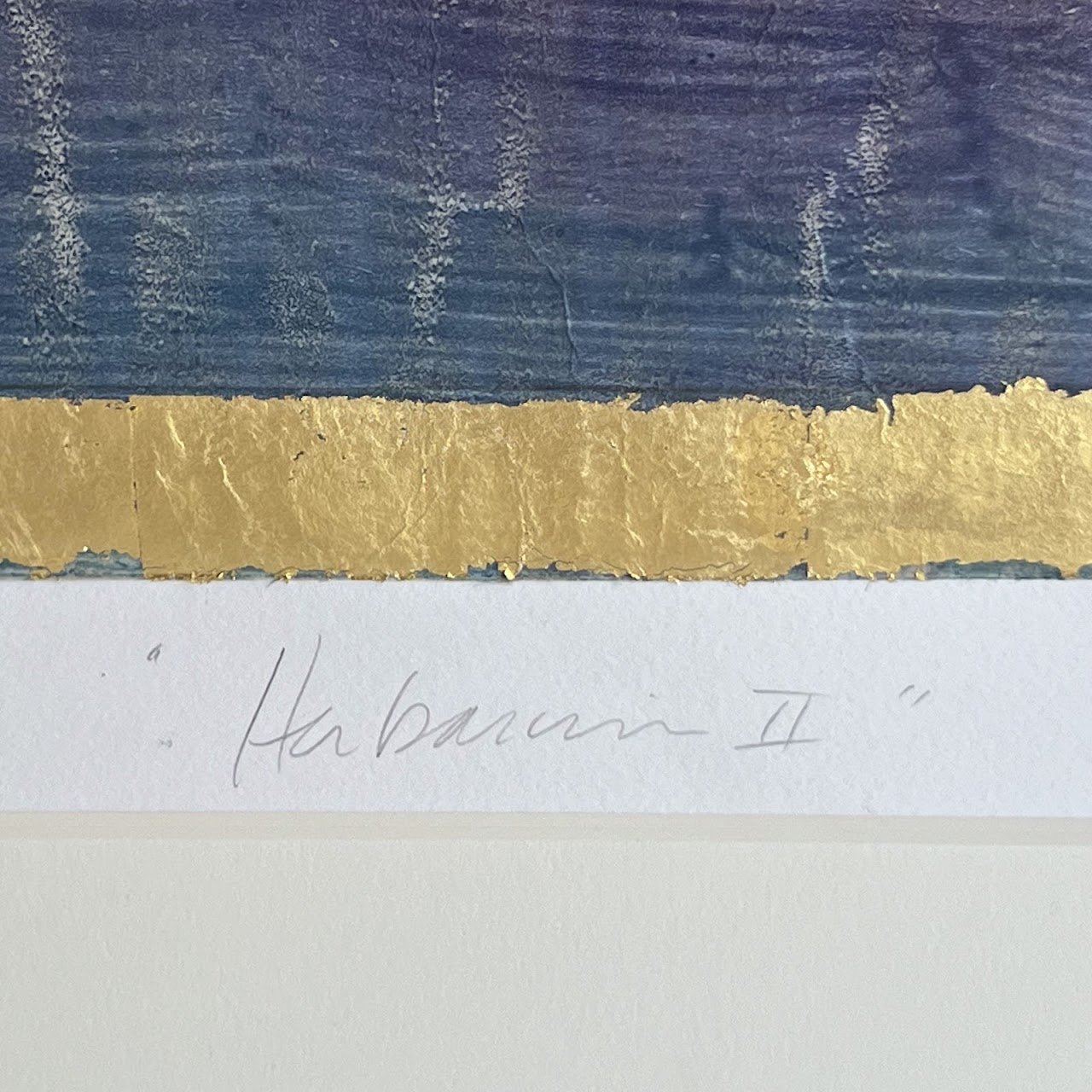 'Herbarium II' Signed Aquatint Etching, Chine Collé and Gold Leaf Monotype