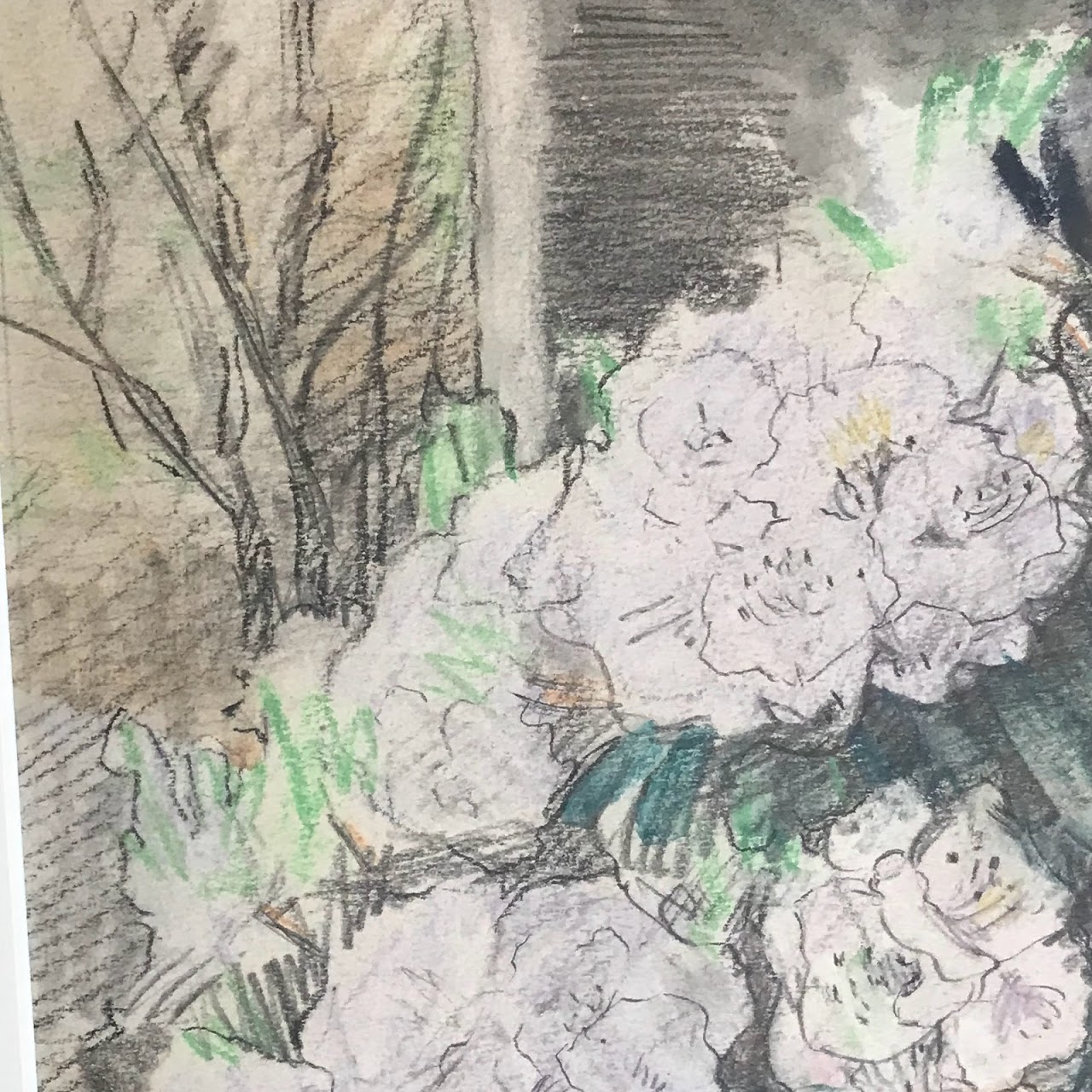 Graphite & Colored Pencil Signed Mountain Laurel Still Life Drawing