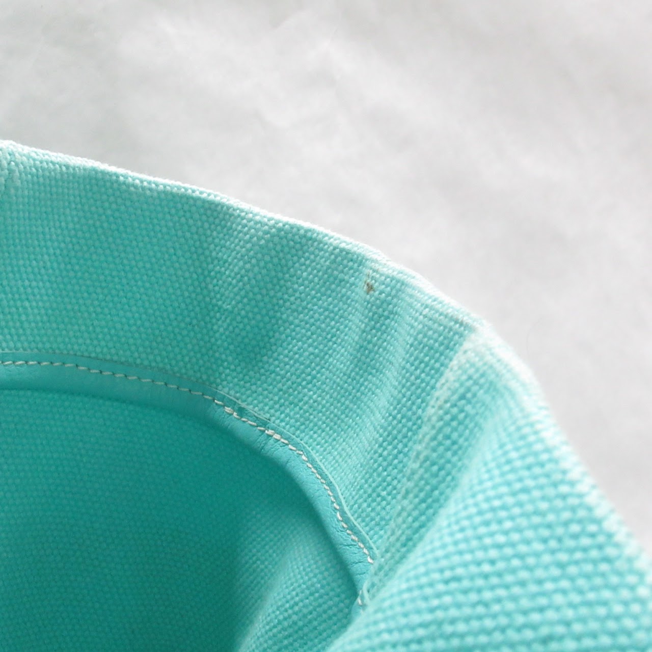 Tiffany & Co. Tiffany Blue Canvas Tote