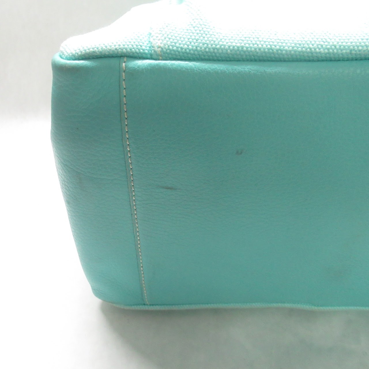 Tiffany & Co. Tiffany Blue Canvas Tote