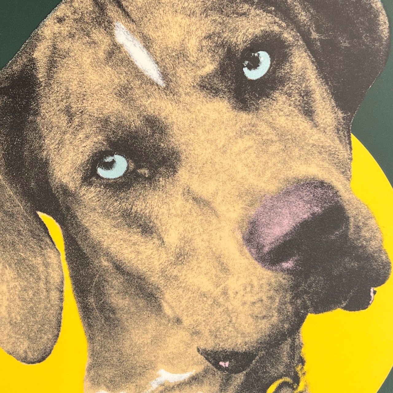 Catahoula Leopard  'Louisiana State Dog' Signed Silkscreen, 1983