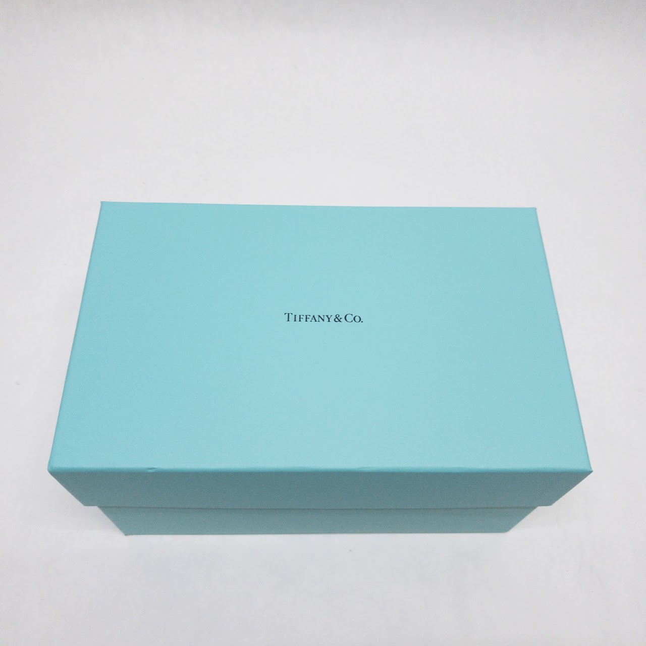 Tiffany & Co. NEW Este Ceramiche Piggy Bank