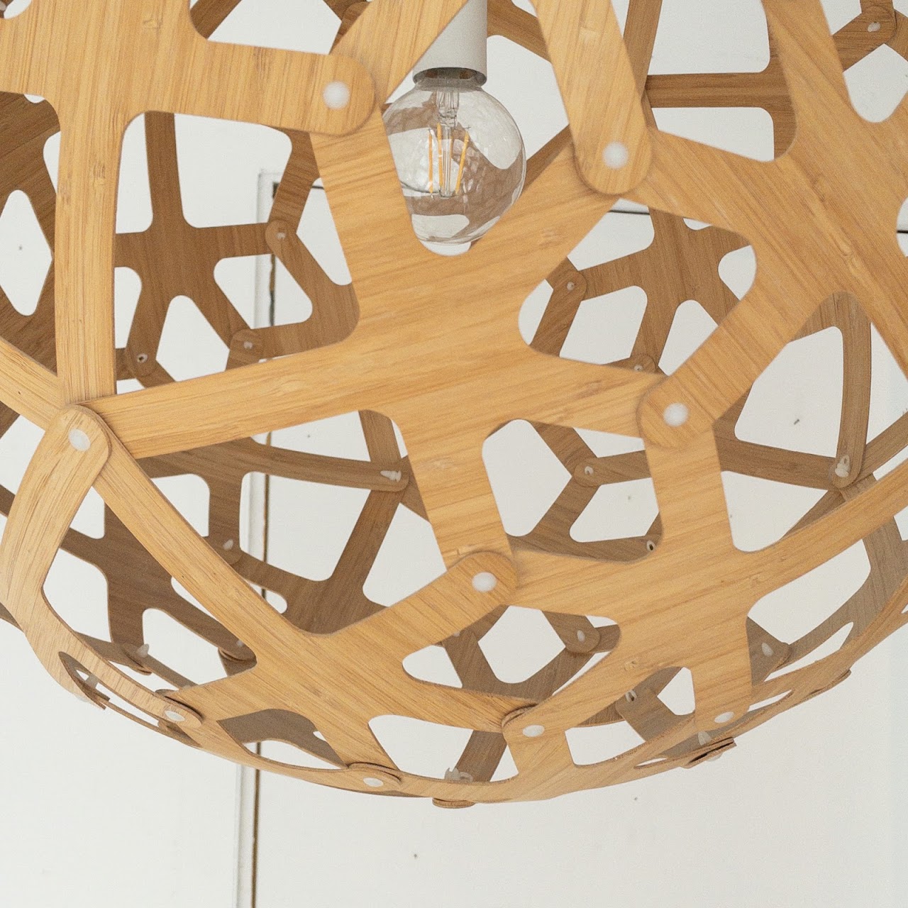 David Trubridge Coral Pendant Light