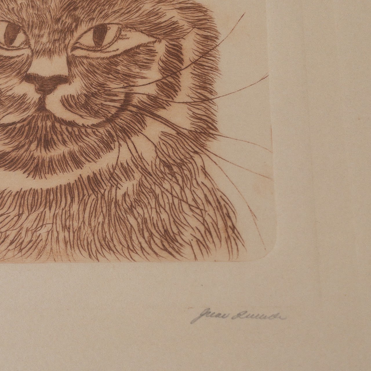 Signed Limited Edition Cat Etching