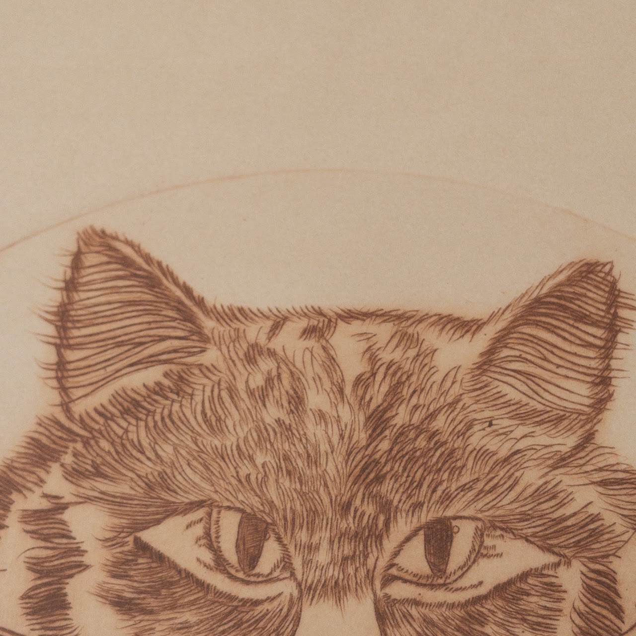 Signed Limited Edition Cat Etching