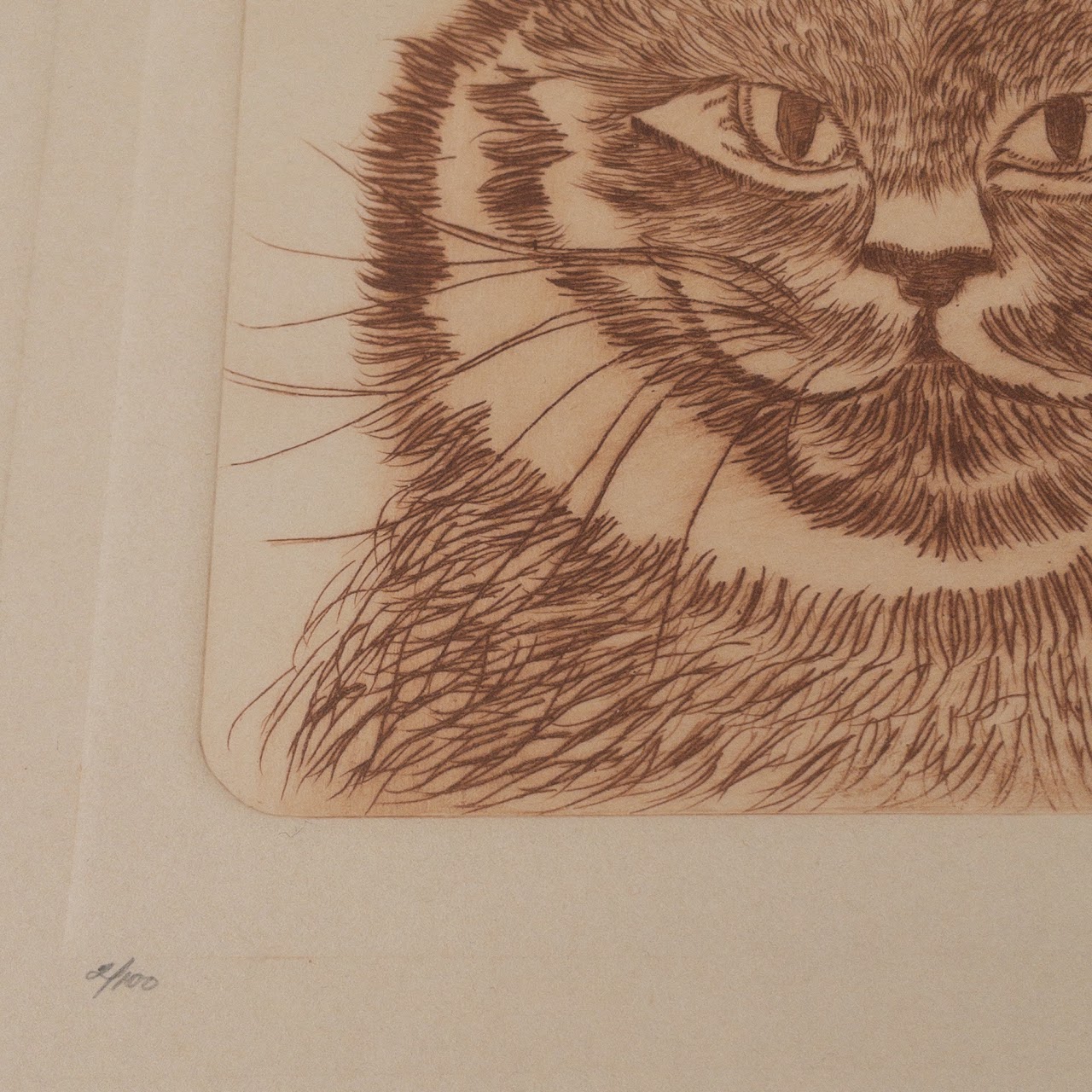 Signed Limited Edition Cat Etching