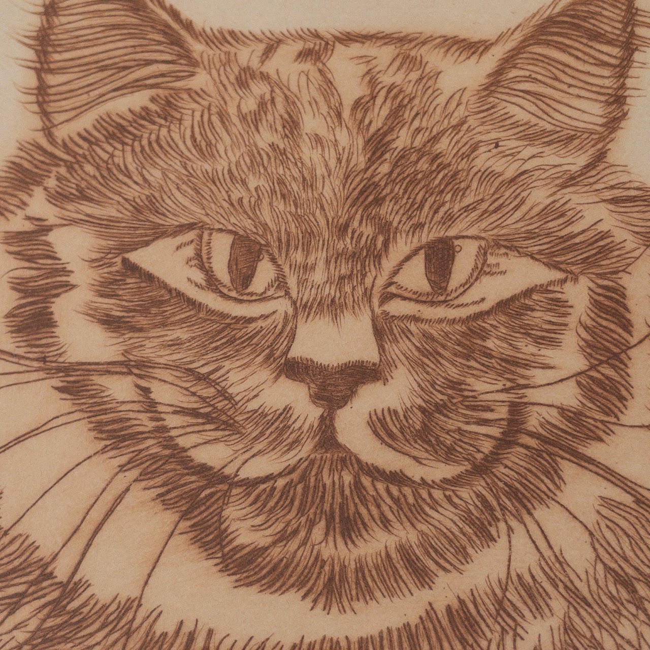 Signed Limited Edition Cat Etching