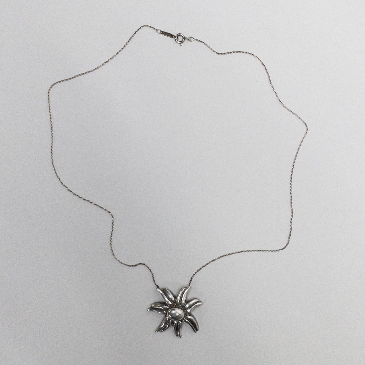 Tiffany & Co. Sterling Silver Necklace & Sun Pendant