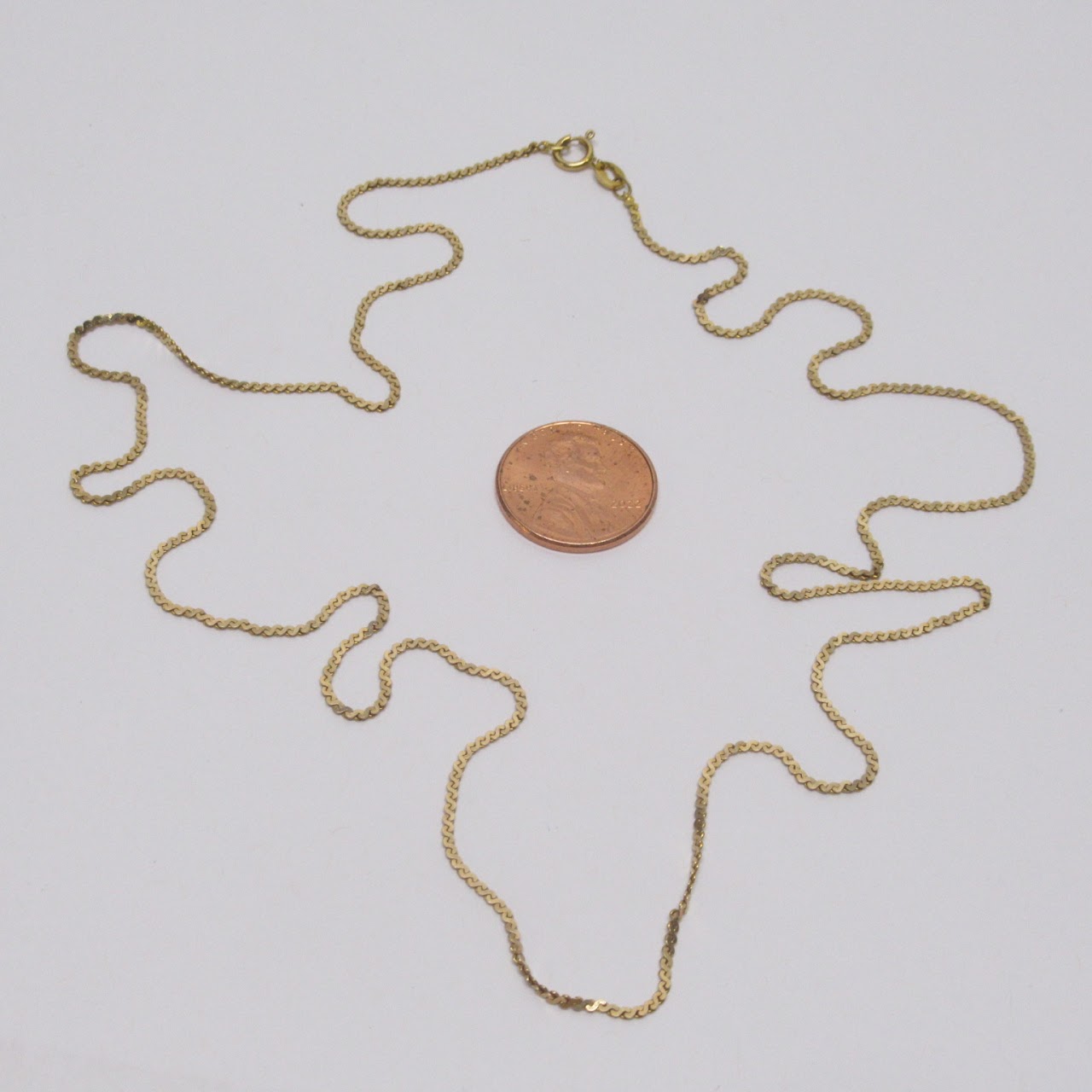 14K Gold 'S' Chain