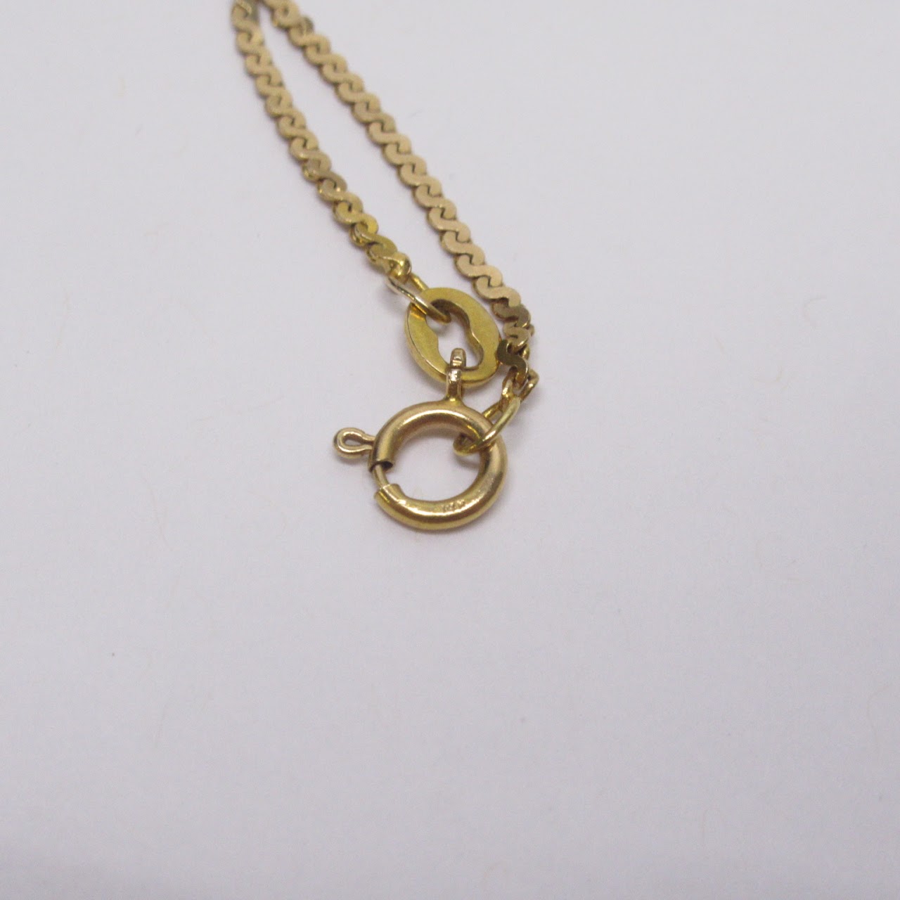 14K Gold 'S' Chain