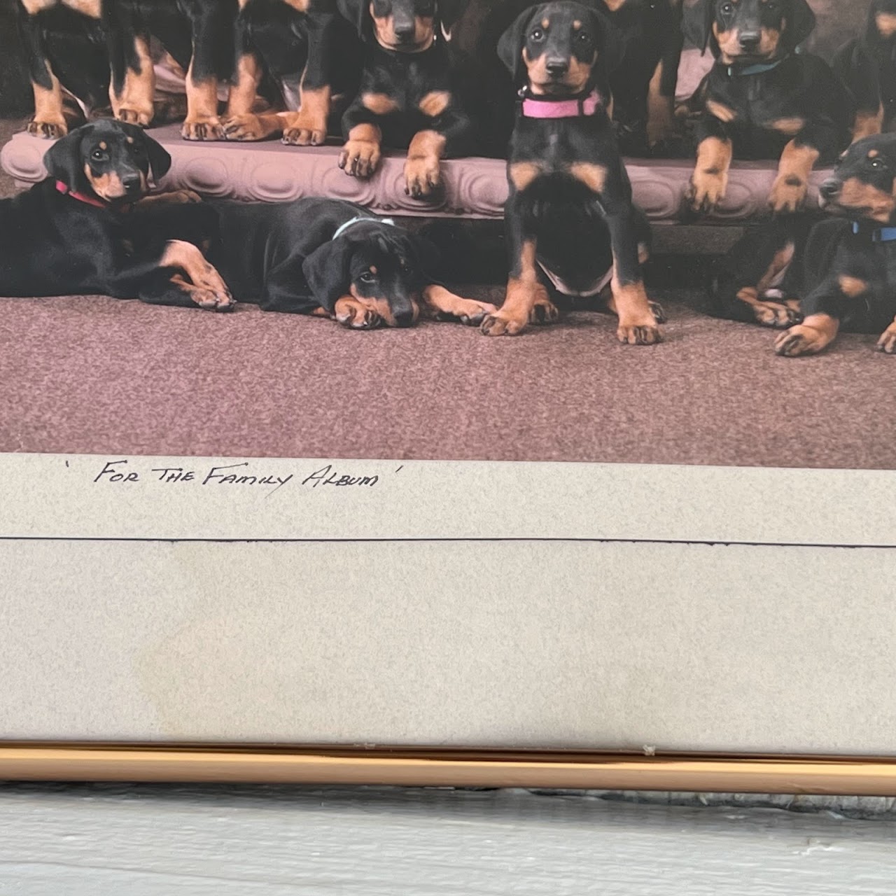 'For the Family Album' Signed Dog and Puppies Photograph