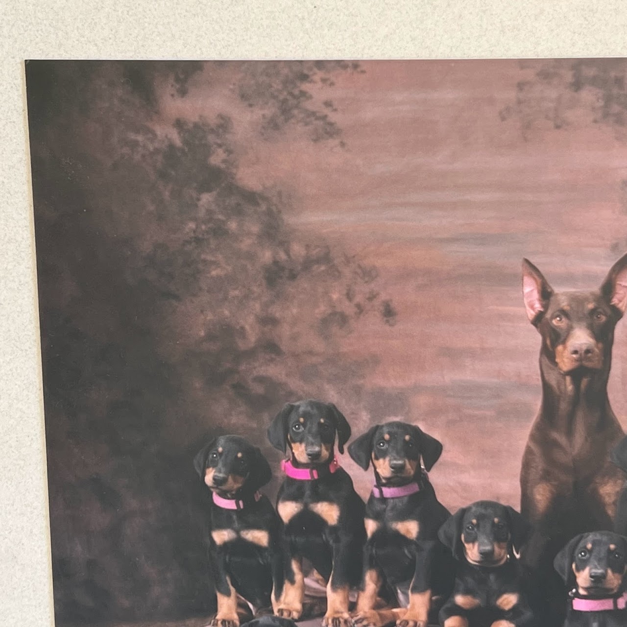 'For the Family Album' Signed Dog and Puppies Photograph