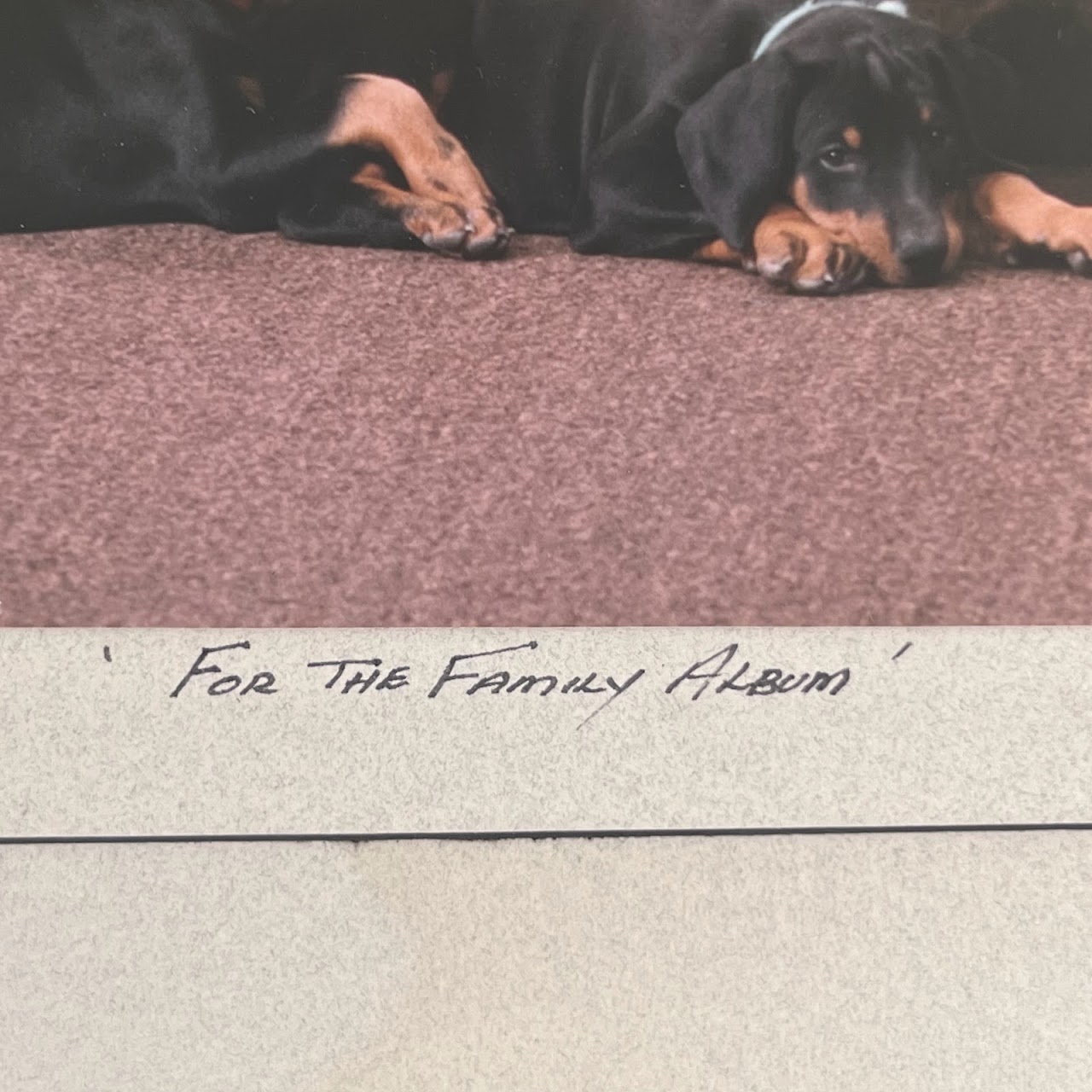 'For the Family Album' Signed Dog and Puppies Photograph