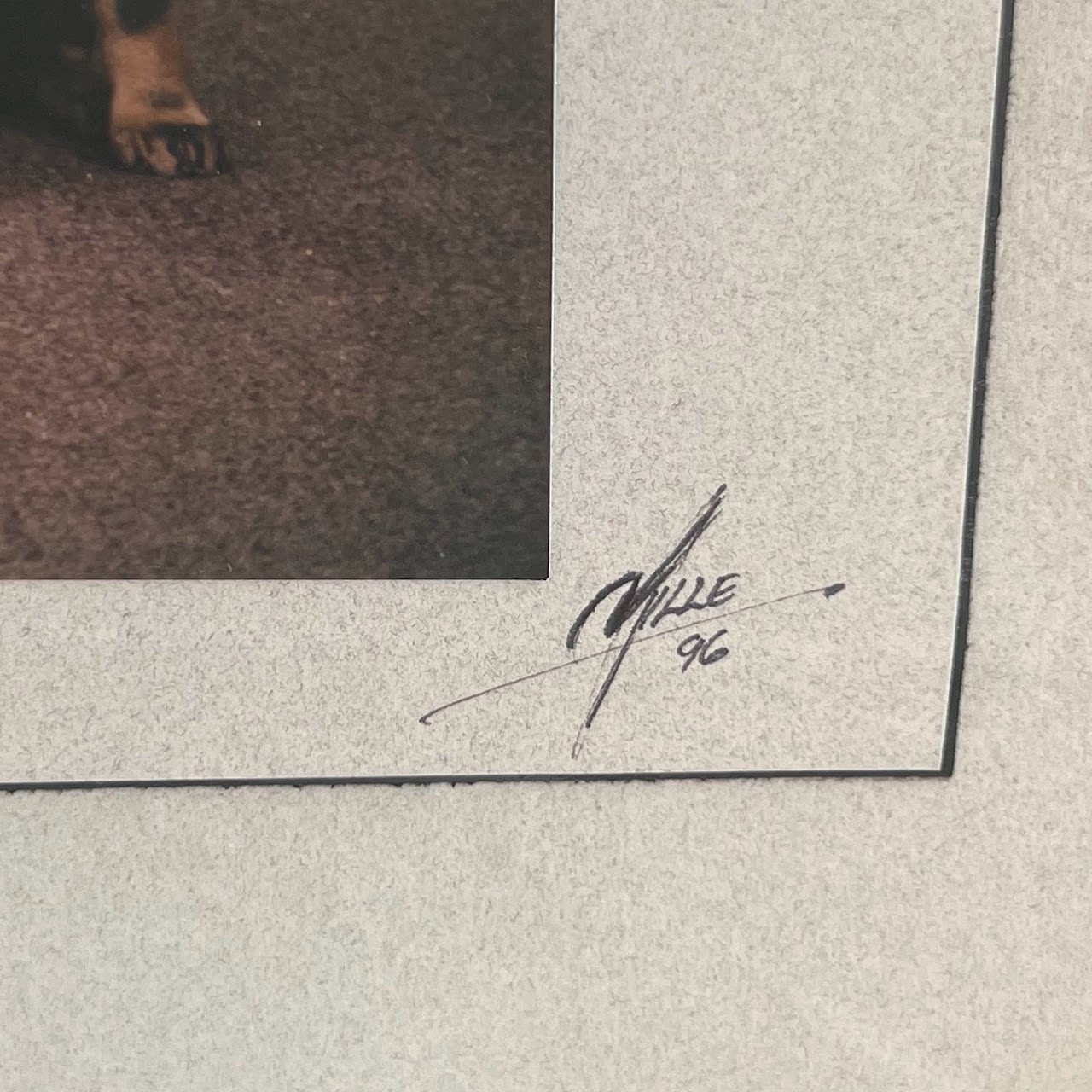 'For the Family Album' Signed Dog and Puppies Photograph