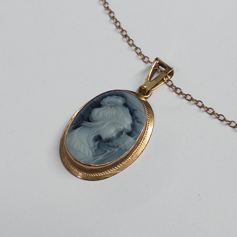 14K Gold Cameo Pendant and Necklace