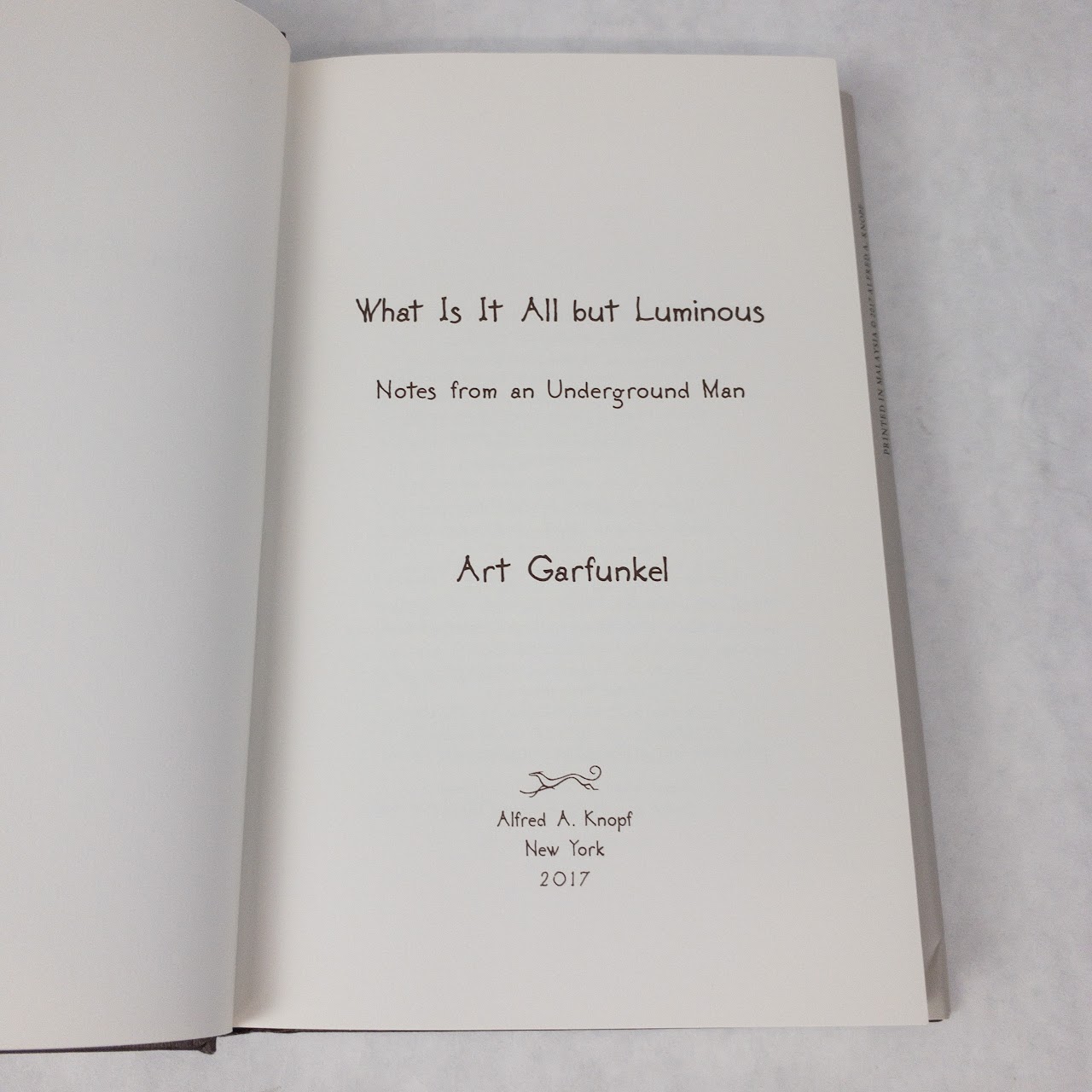 Art Garfunkel 'What Is It All But Luminous' SIGNED First Edition