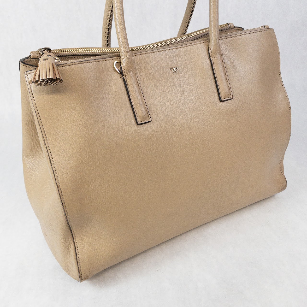 Anya Hindmarch Bespoke Ebury Tote