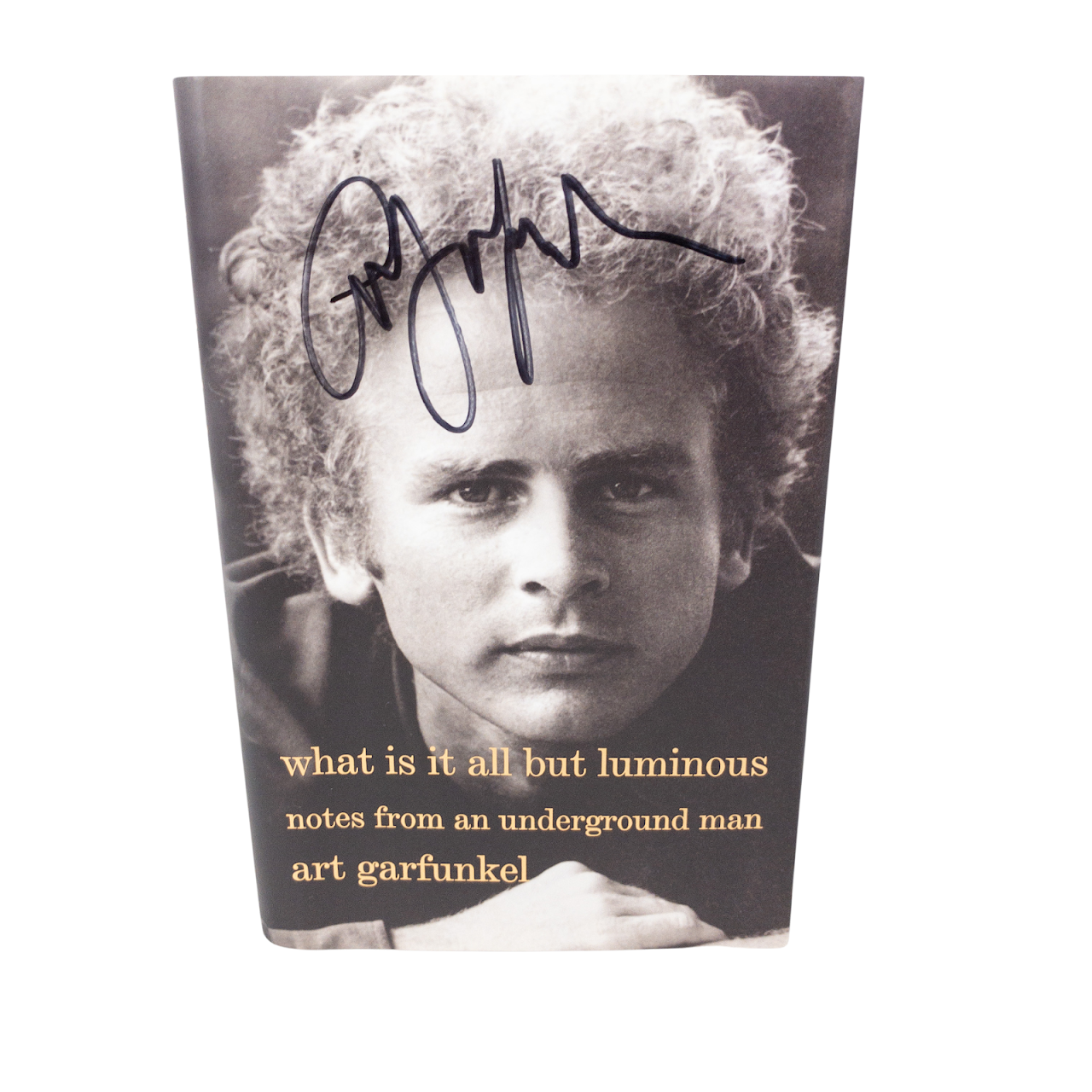 Art Garfunkel 'What Is It All But Luminous' SIGNED First Edition