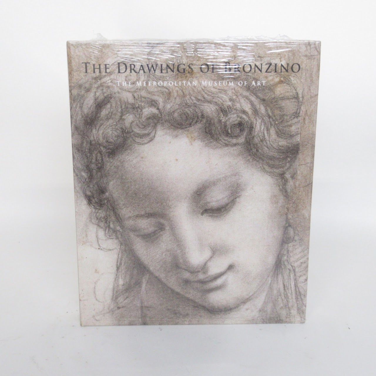 'The Drawings of Bronzino' NEW Book