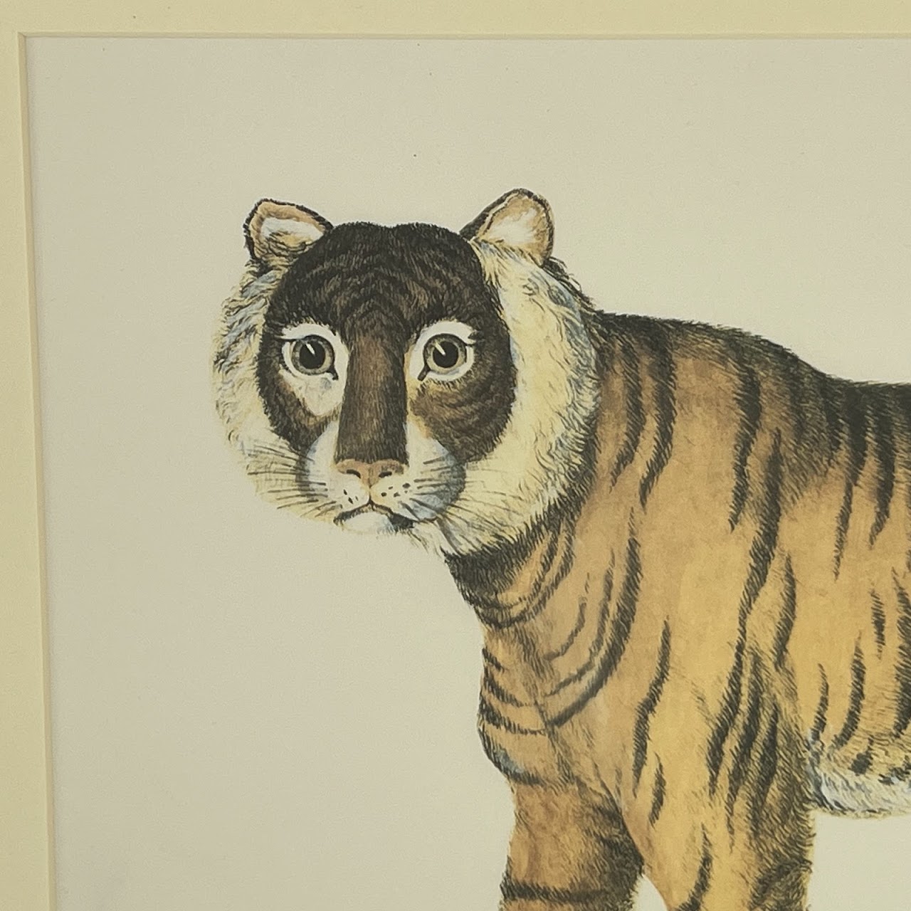 After Karl Brodtmann 'The Royal Bengal Tiger' Framed Print