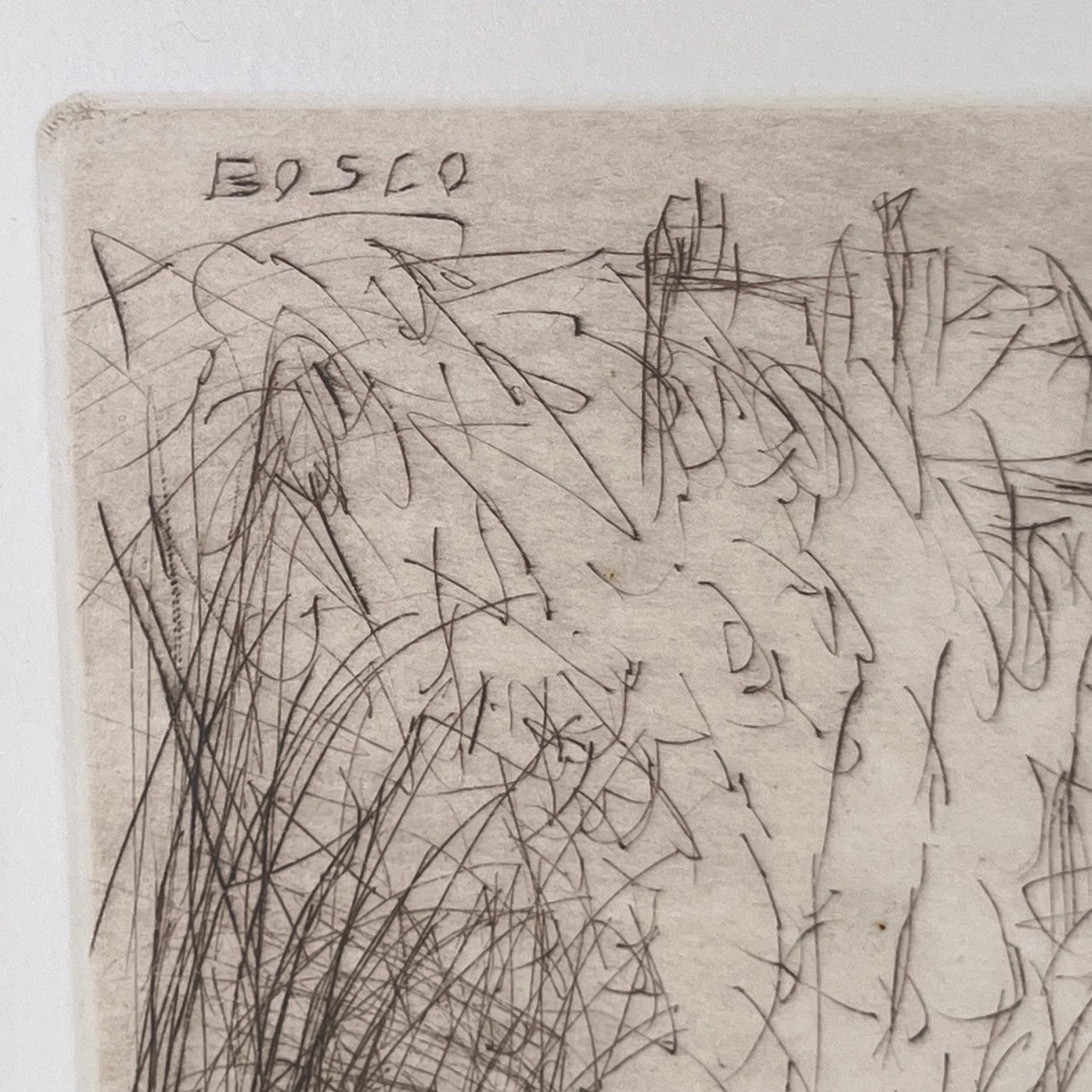 Bosco Signed 'Fontaine Louvois' French Landscape Drypoint Etching