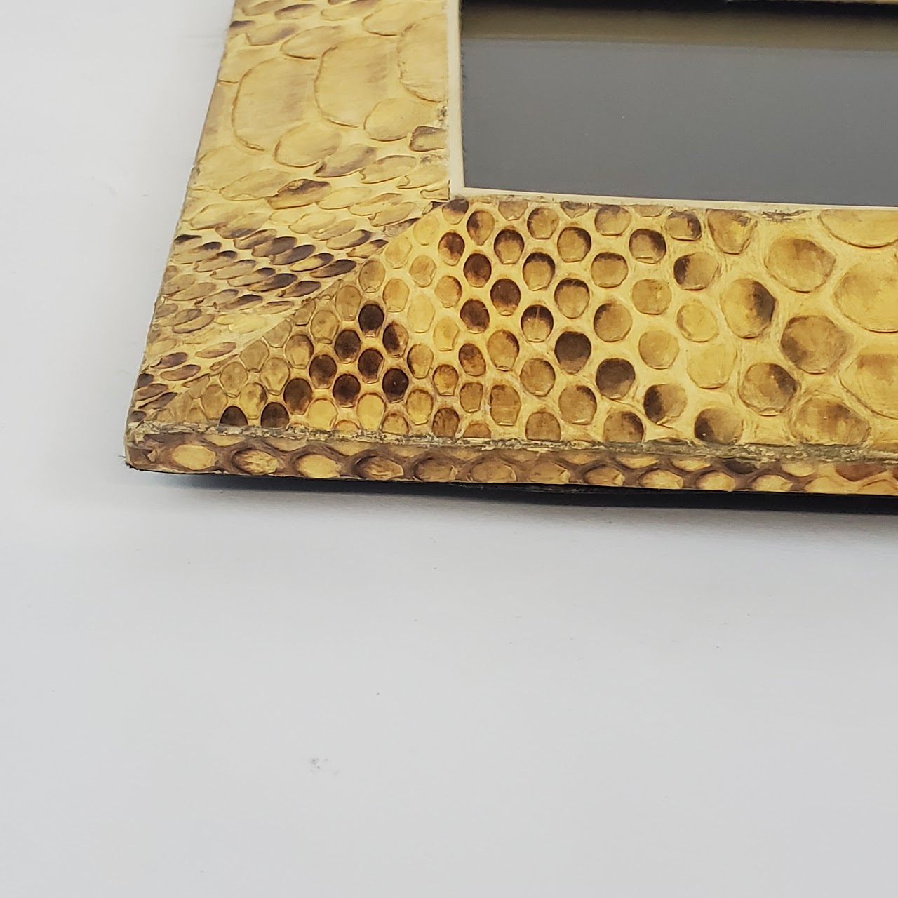 R&Y Augousti Snakeskin Picture Frame