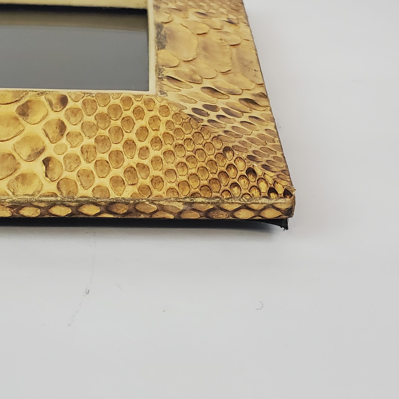 R&Y Augousti Snakeskin Picture Frame