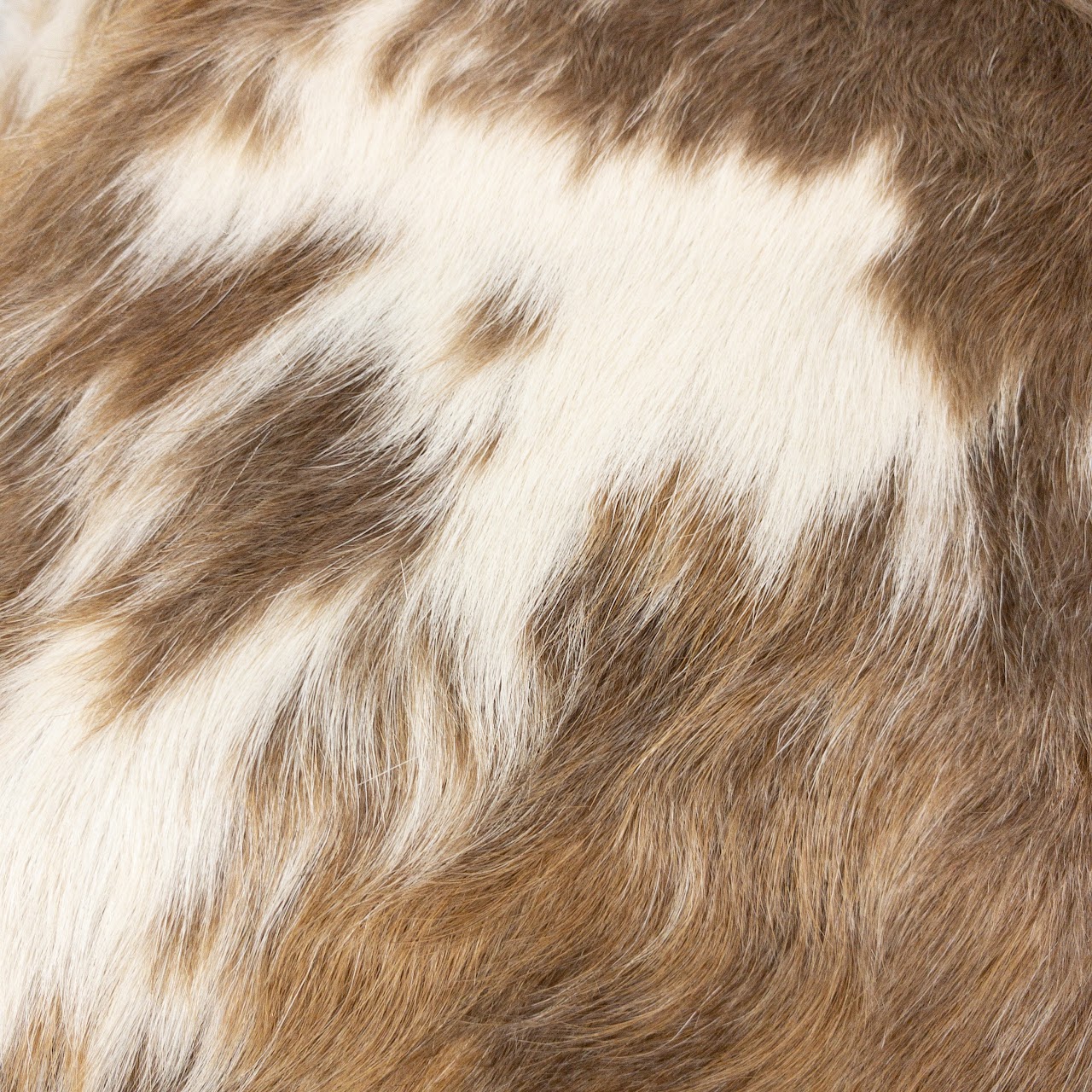 Cowhide Pillow Cover Pair