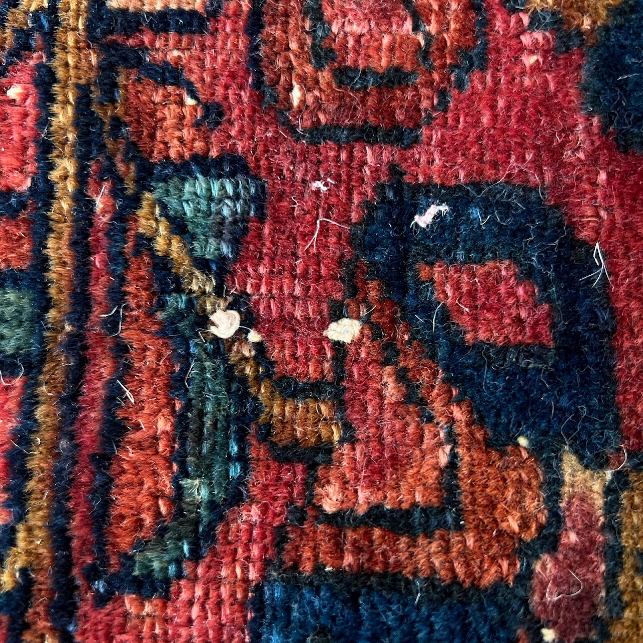 Wool Floral Area Rug