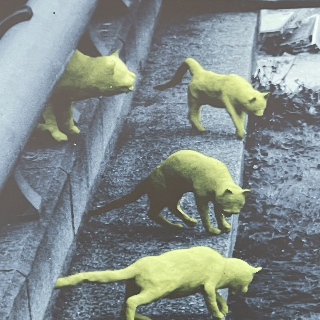 Sandy Skoglund 'Cats in Paris' Signed Photo Lithograph