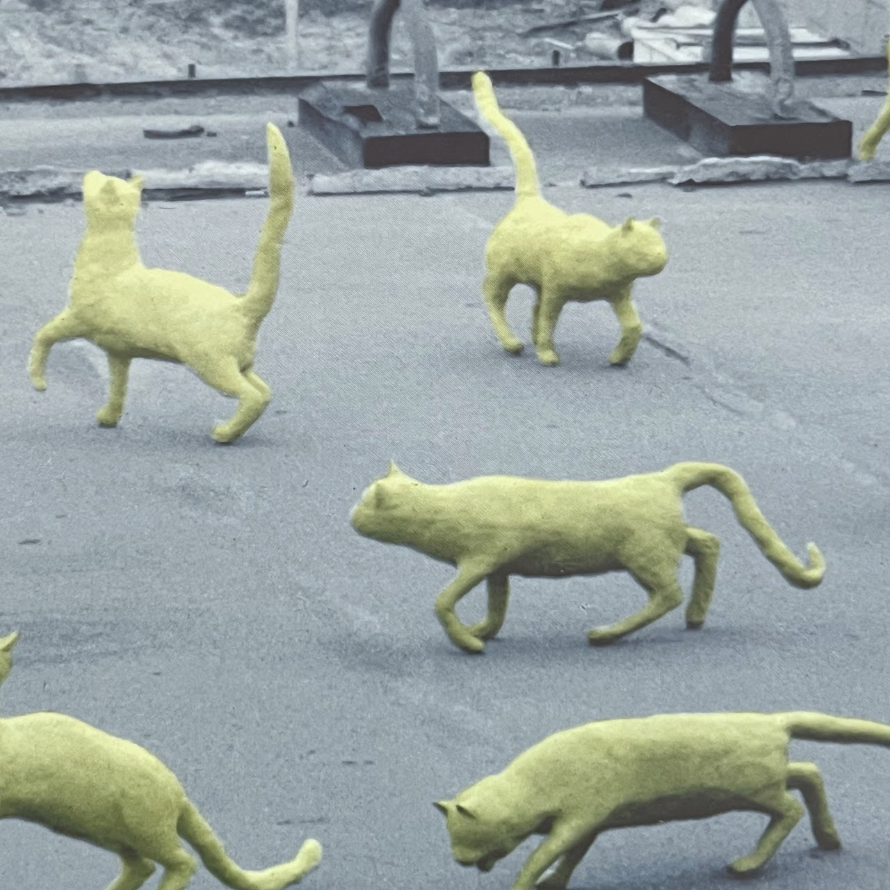 Sandy Skoglund 'Cats in Paris' Signed Photo Lithograph