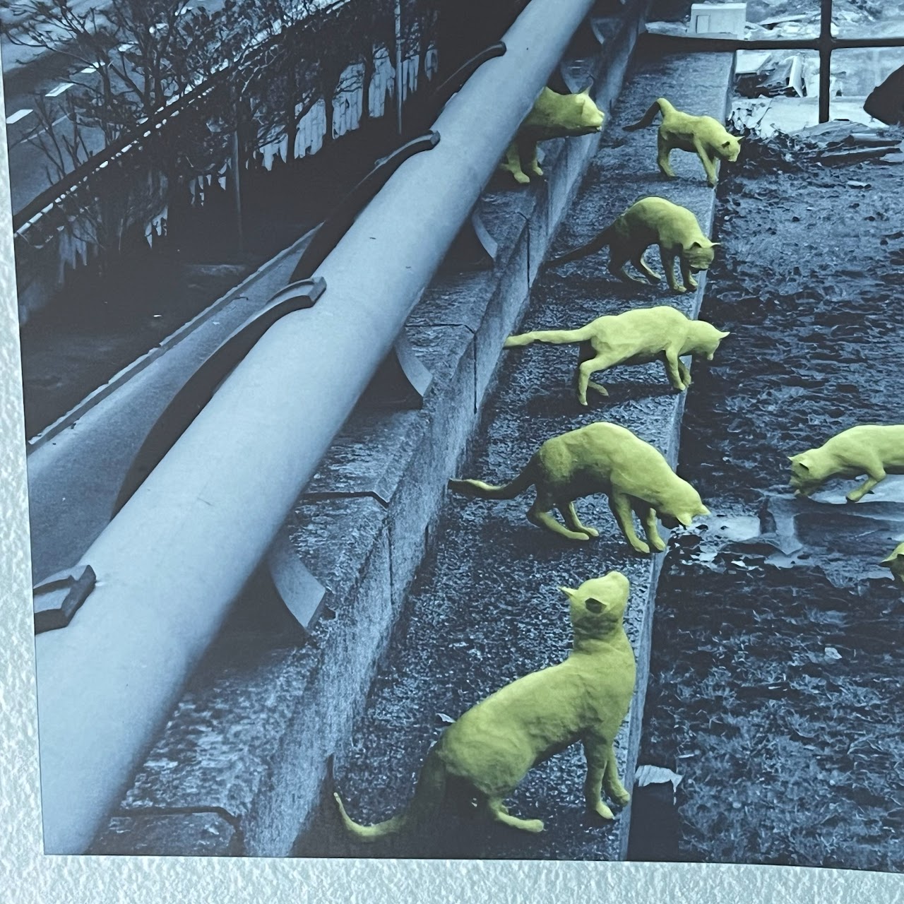 Sandy Skoglund 'Cats in Paris' Signed Photo Lithograph