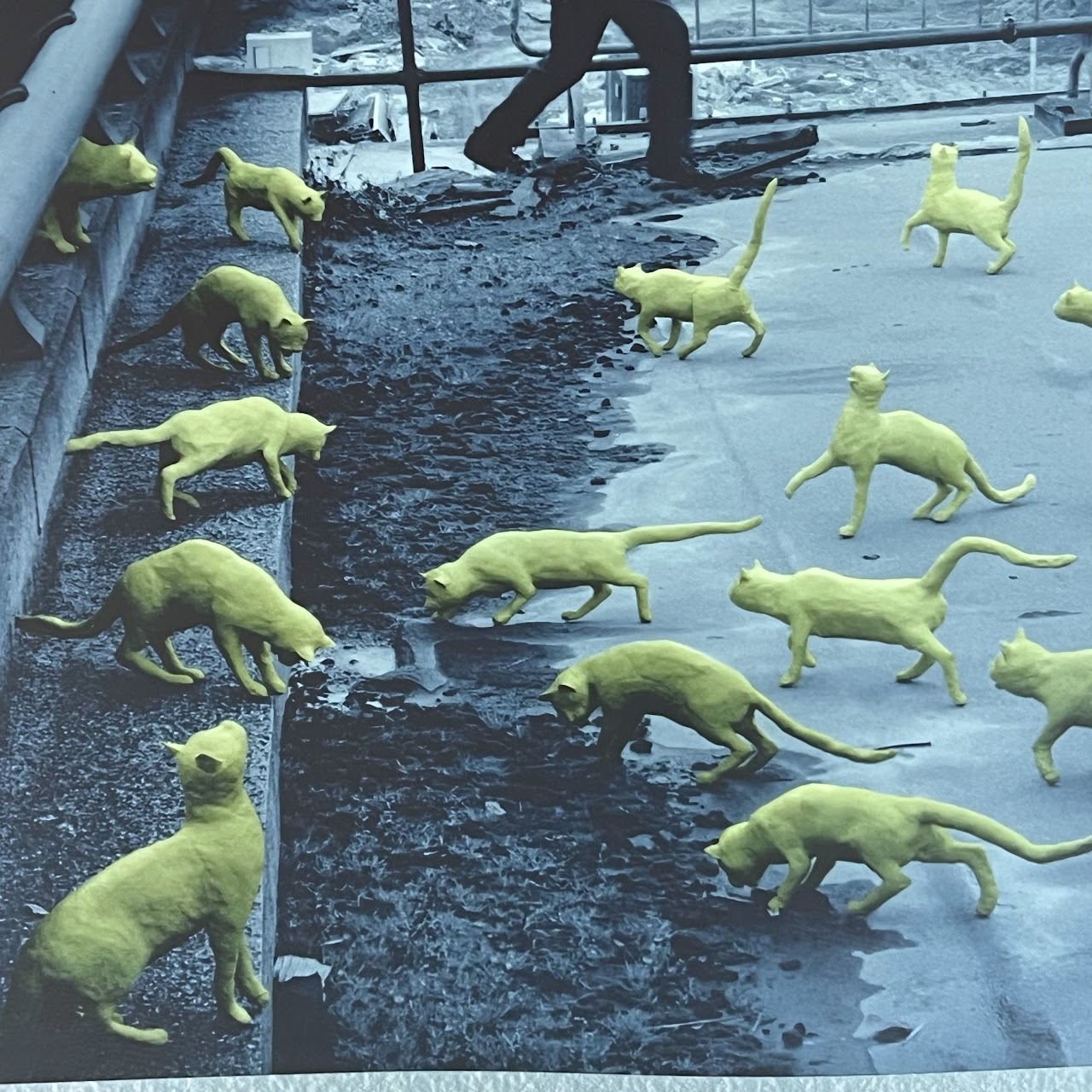 Sandy Skoglund 'Cats in Paris' Signed Photo Lithograph