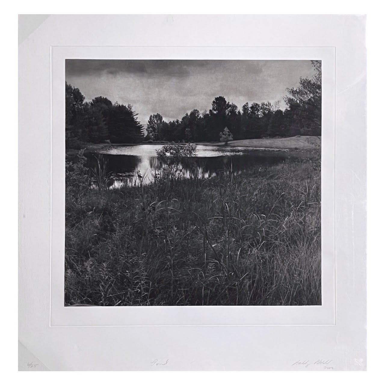 Sally Gall 'Pond' Signed Contemporary Photogravure