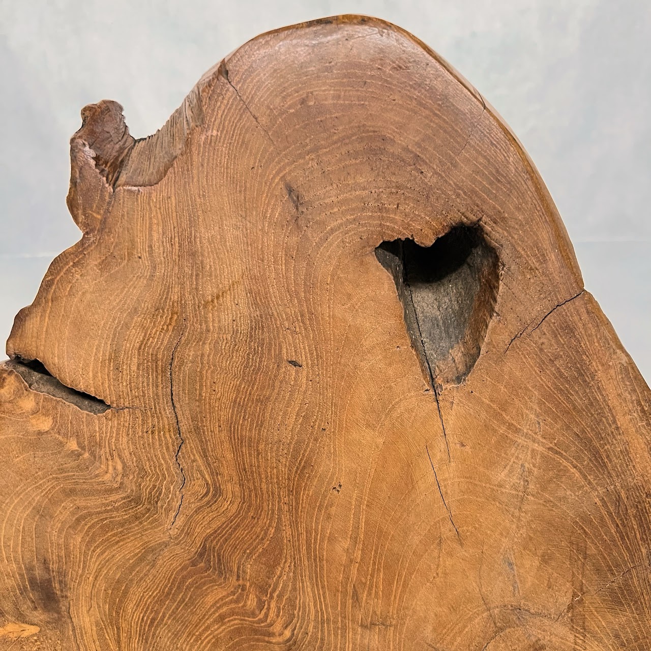 Teak Burl Slab Sculpture