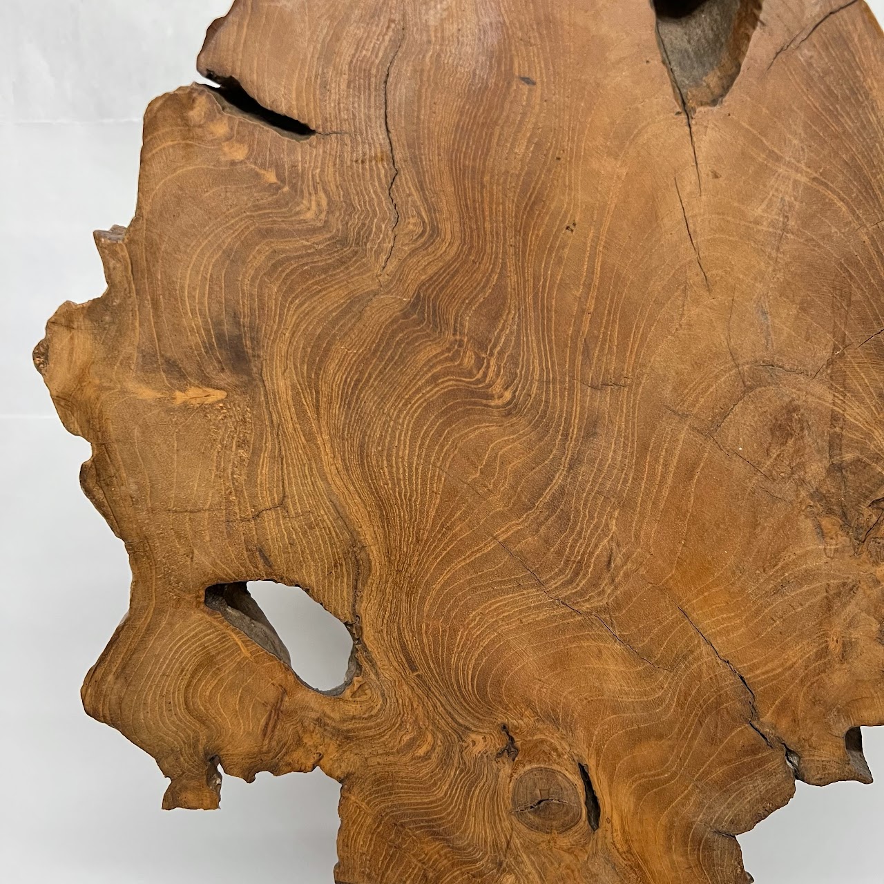 Teak Burl Slab Sculpture