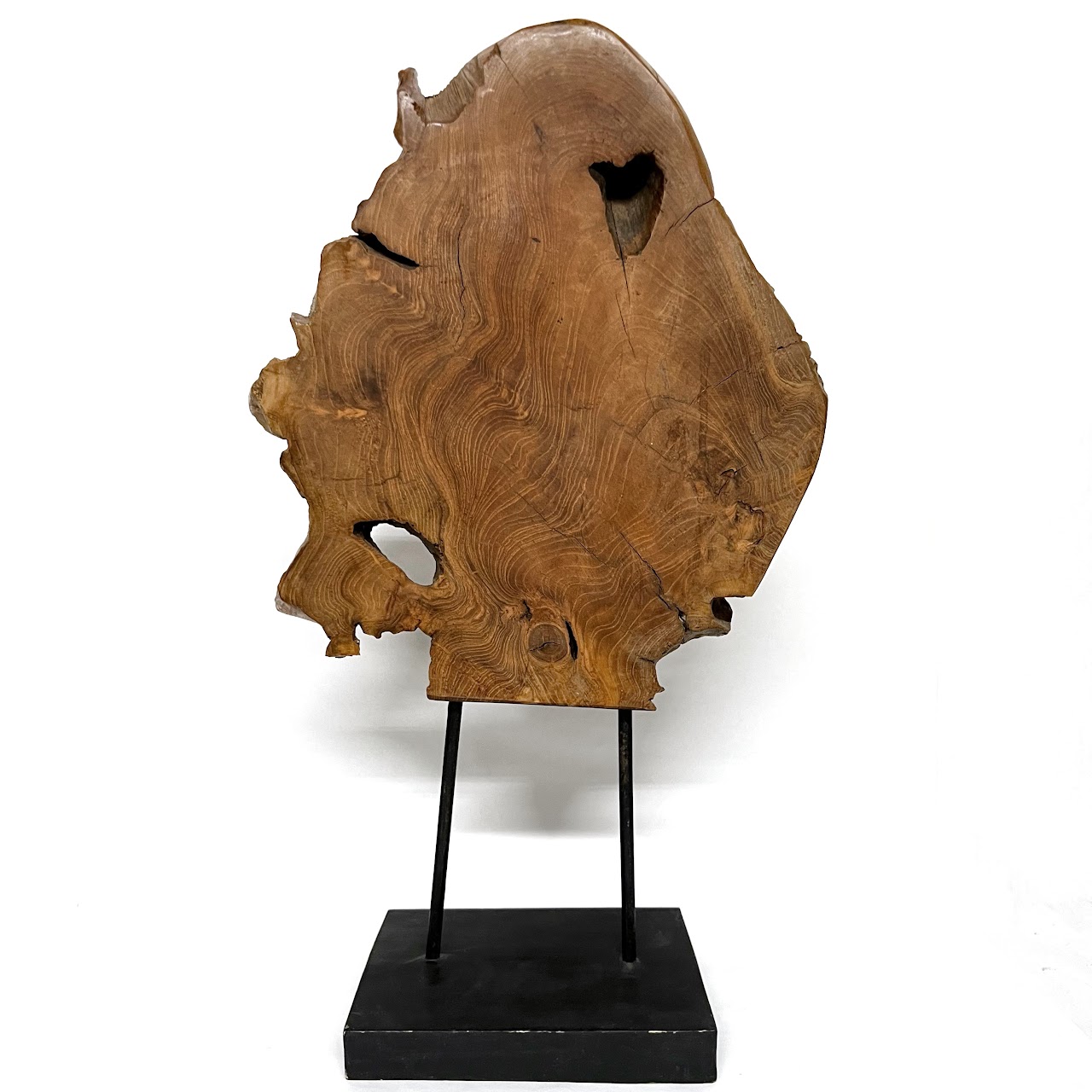 Teak Burl Slab Sculpture