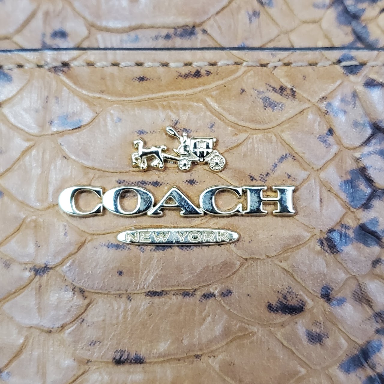 Coach Snake Embossed Dome Top Satchel