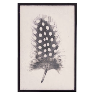 Signed 'Feather Study #1' Print